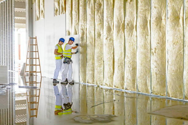 Best Cellulose Insulation in El Paso, TX